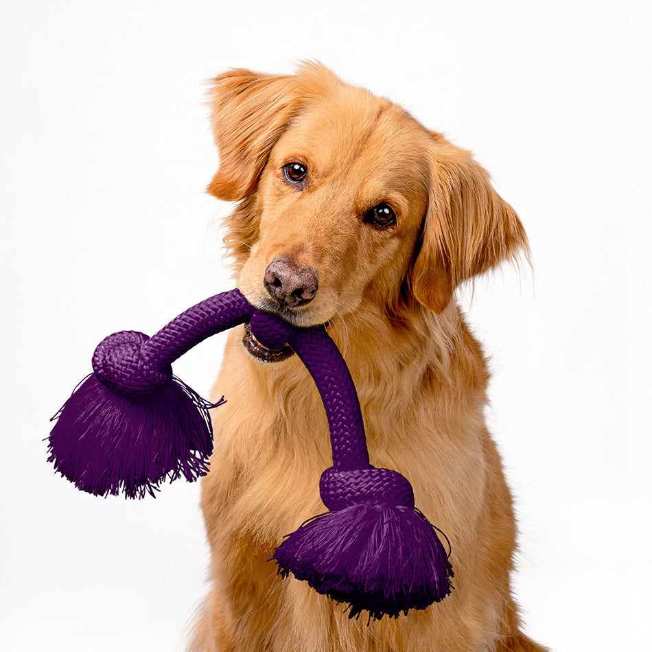 33042 ls 950 b6402bcb c3b1 4518 b969 51f1ddc0ad37