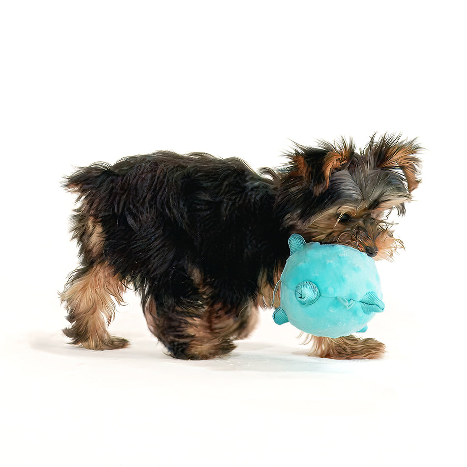 SensoryBall SM ls 1 pb 950