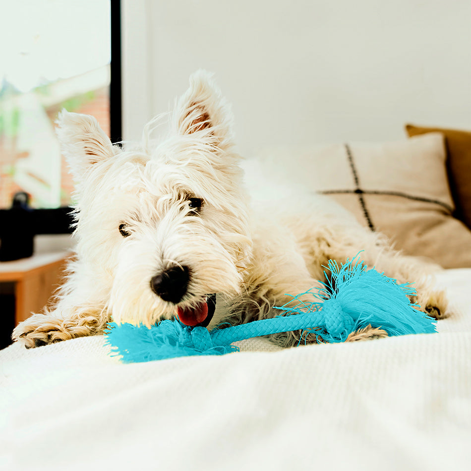 DTRope SM ls 1 pb 950