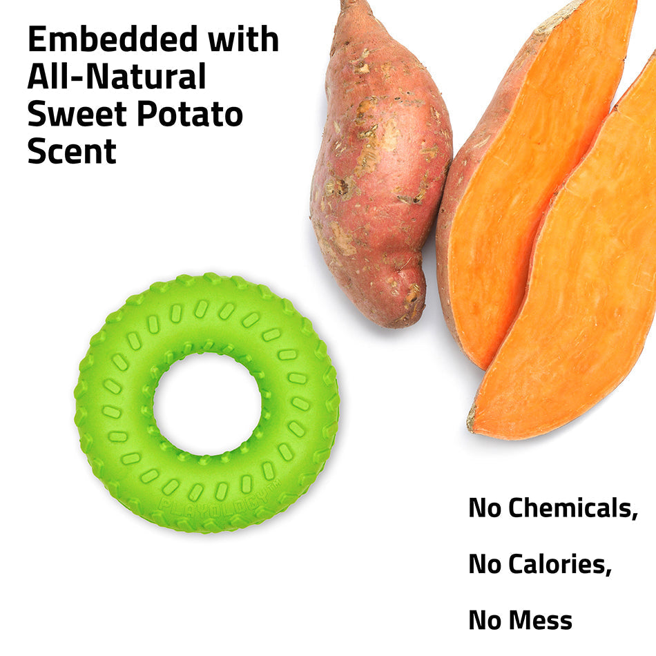 dlring sp ScentPhoto 950