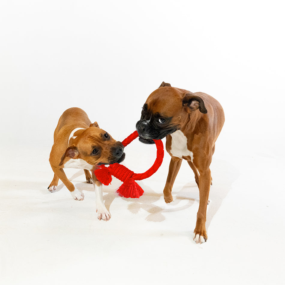 dri tech ring 33298 3 d9a8c473 ef9e 4da5 b7ea a1ce5bbdccce