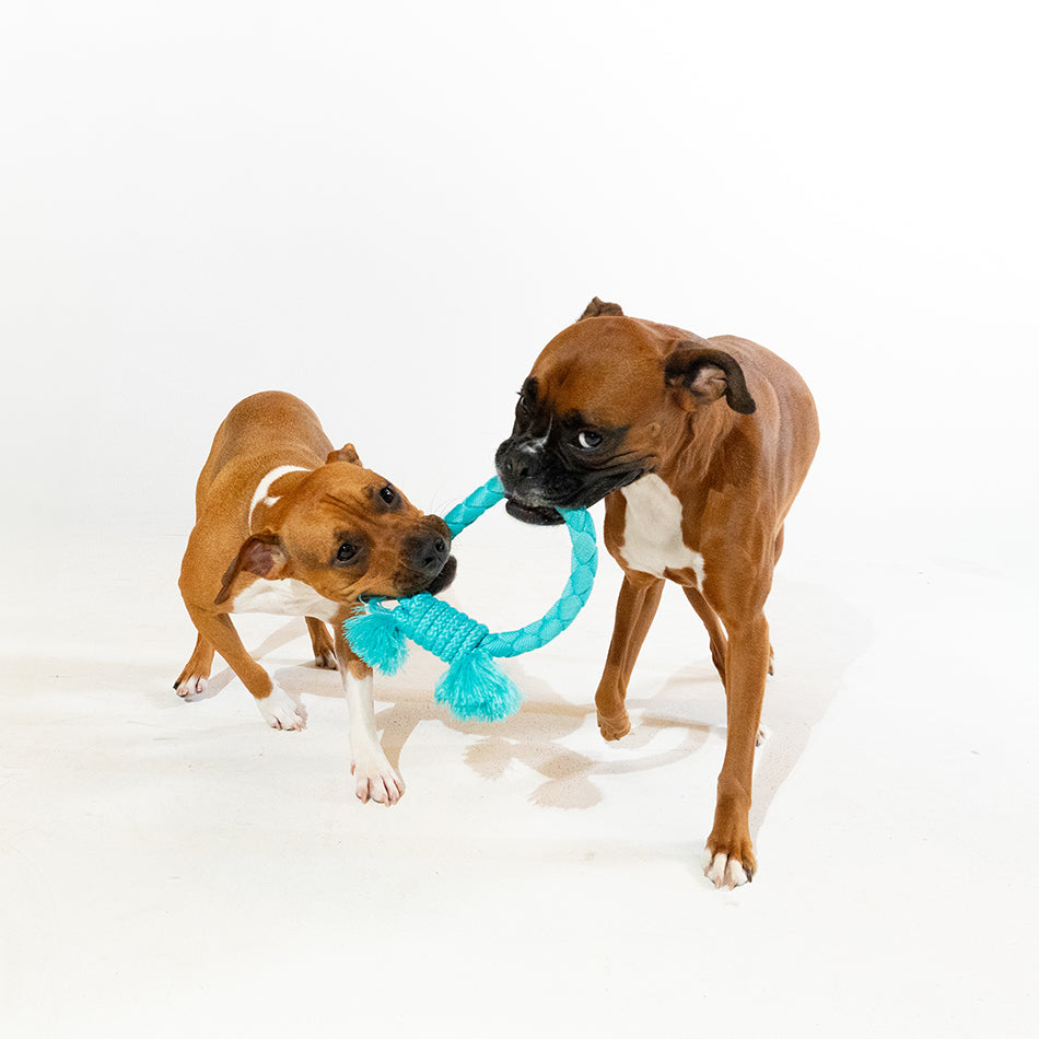 dri tech ring 33299 3 5a56aa48 6775 40db b5b5 dba084f1edc3