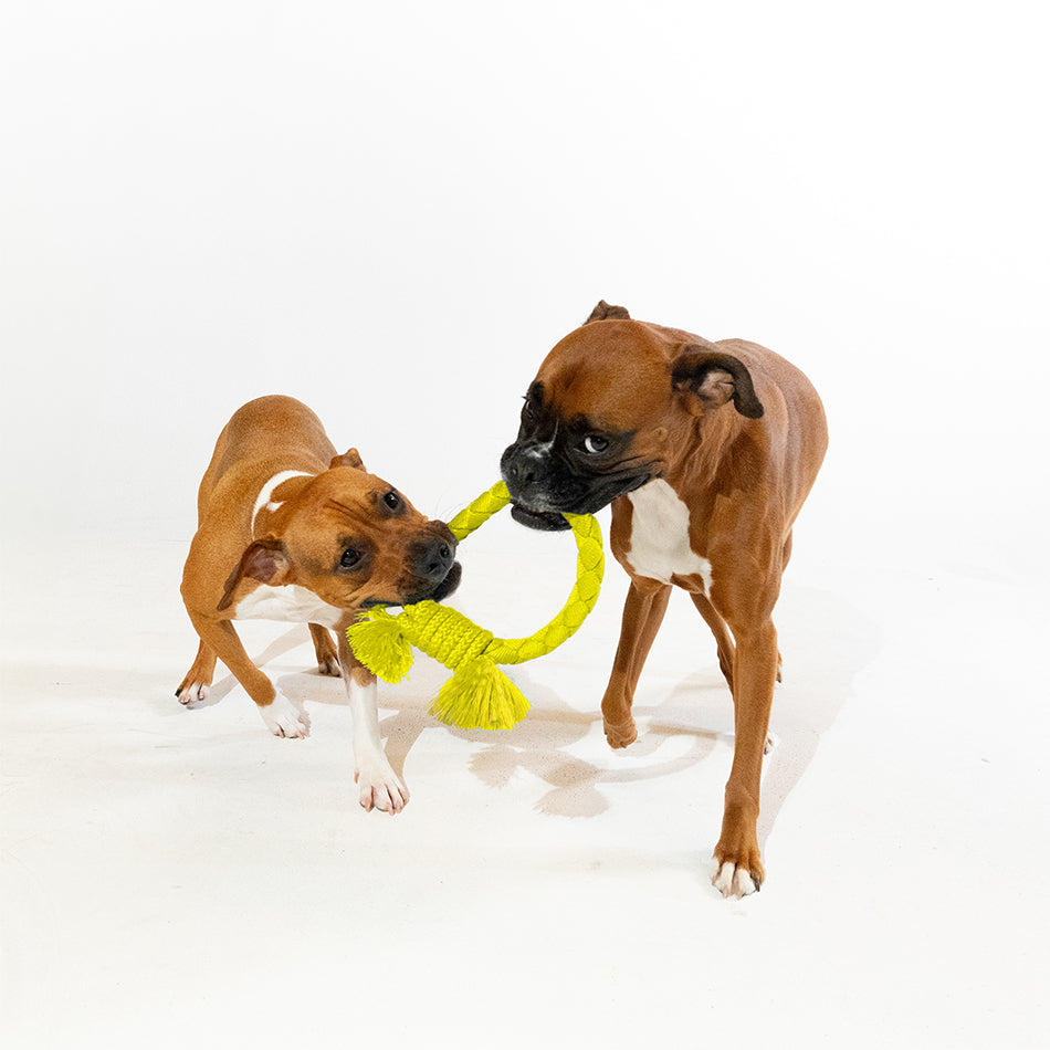 dri tech ring 33331 3 7d884f43 da74 4af8 af82 dace4fde16bd