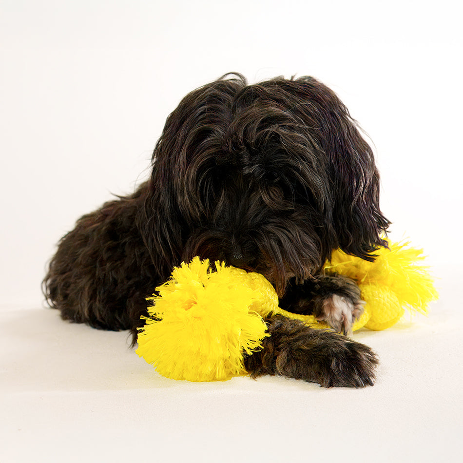 dri tech rope 300760 3 1d3ccd14 632f 43f1 a7e5 71ac34e46524