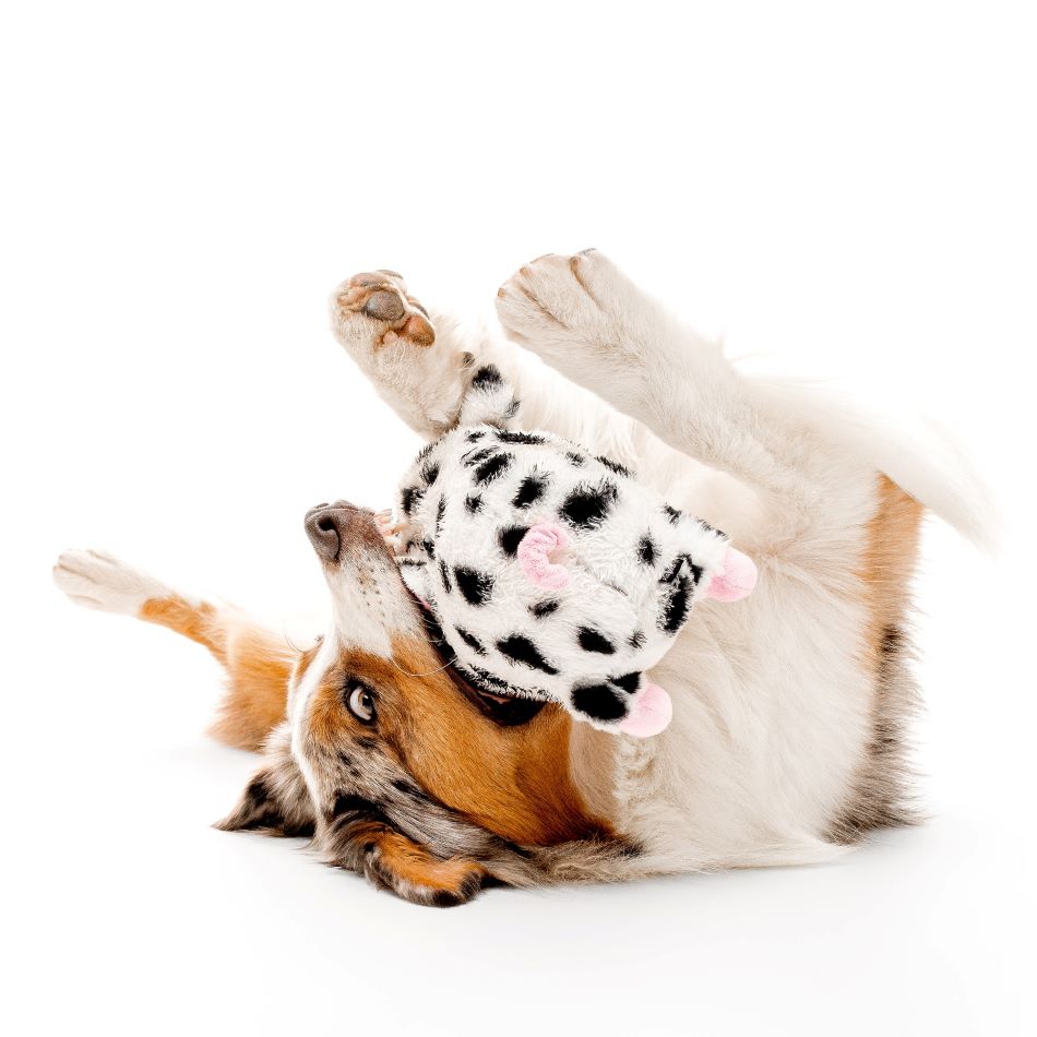 plush pig 33655 3 7837cc4c b0db 4147 8389 fd81ce896e11