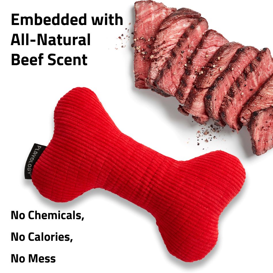 plush squeaky bone 33087 2 e1096628 4ddf 4b9c ba09 98e968635c5e