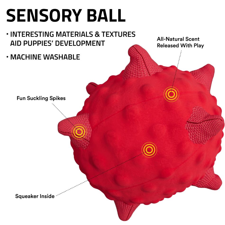 sensory ball 33338 1 96aaafdc 1721 4290 97c5 d9600be9856c