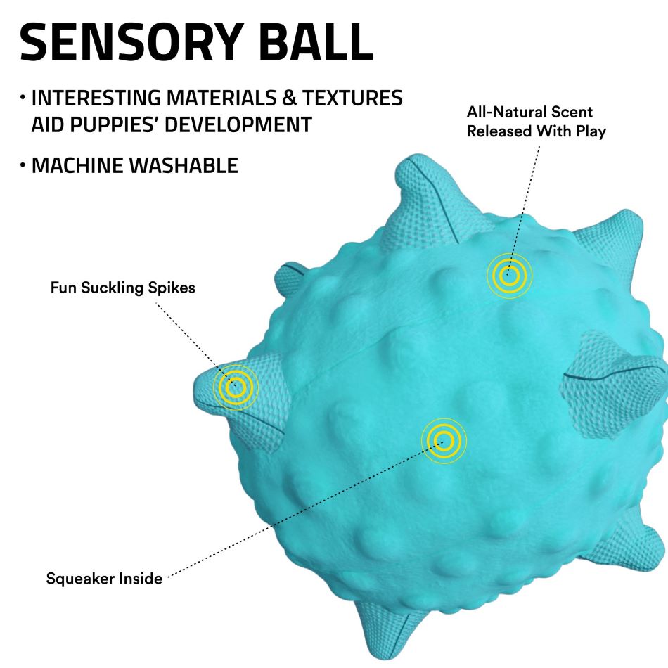 sensory ball 33341 1 0a0e9b60 4e4b 4e72 9e69 8c3ac52b98e9