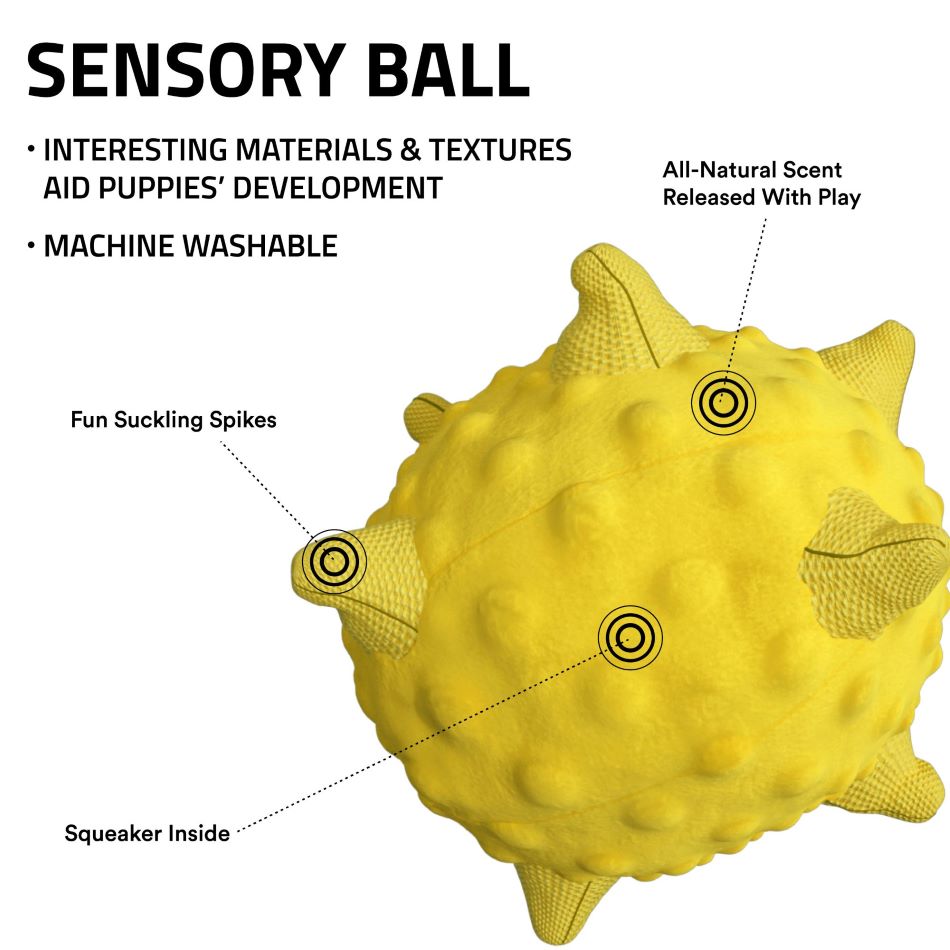 sensory ball 33342 1 76e3e92b 849d 41df 8c48 034e964e30d2