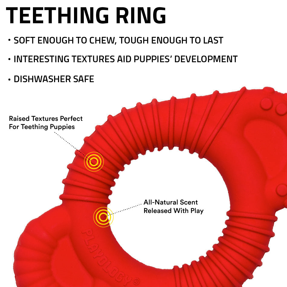 teething ring 33484 1 134af0f6 3ff8 4383 9cbd 00e098e0da27