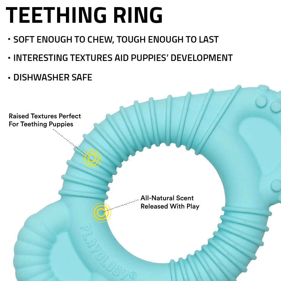 teething ring 33485 1 f6ac616a d6fb 47e6 94ab b0ff57ac484c