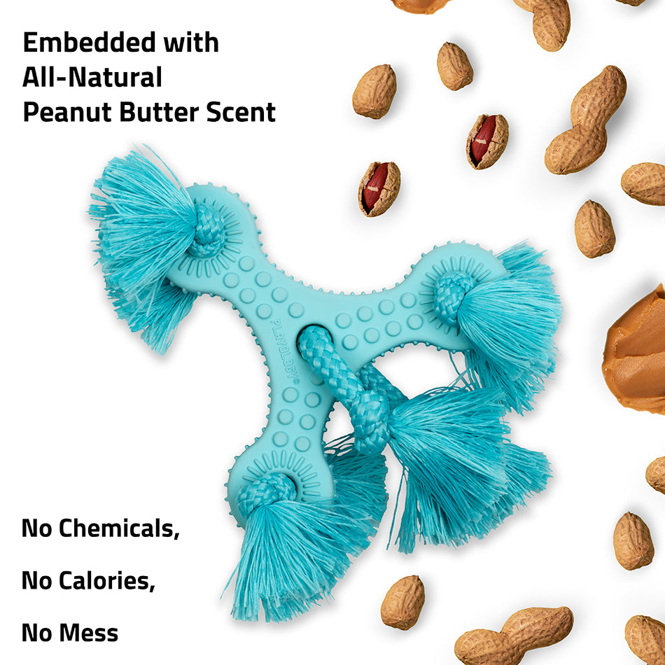 teething triangle 33487 2 cc1a20b0 cb7a 4cf9 81c4 245f41091fce